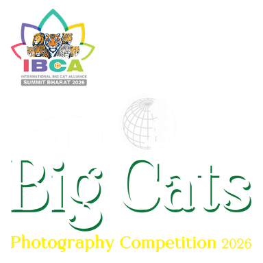 Global Big Cats Photography Competition '26 logo