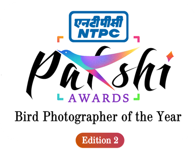Pakshi - Bird Photography Awards 2026 - Edition 2 logo