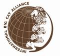 International Big Cat Alliance (IBCA)