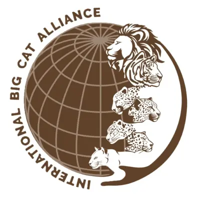 Knowledge Partner