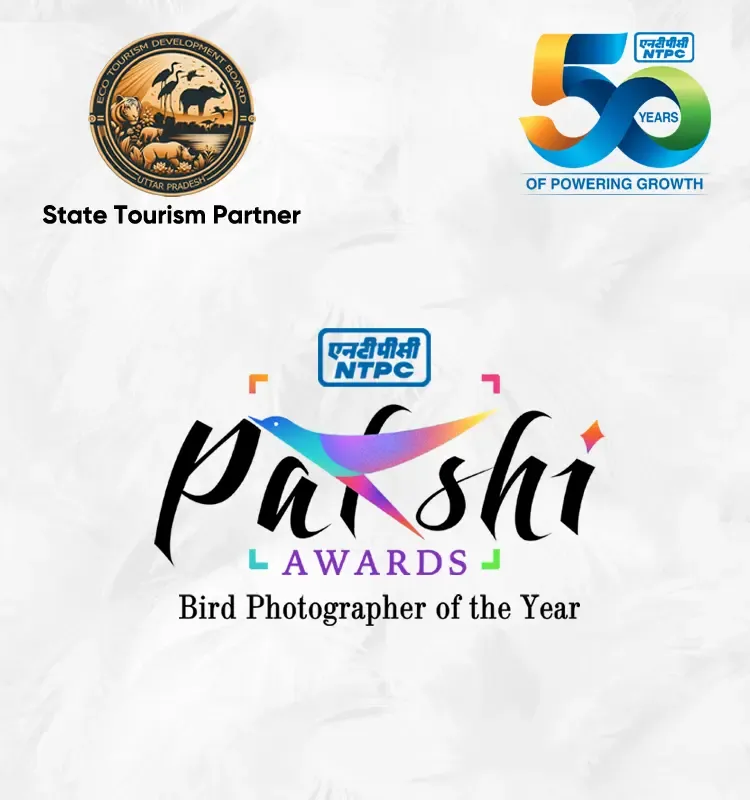 Pakshi - Bird Photography Awards