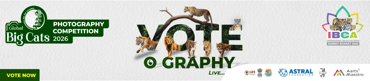 Competition banner — 