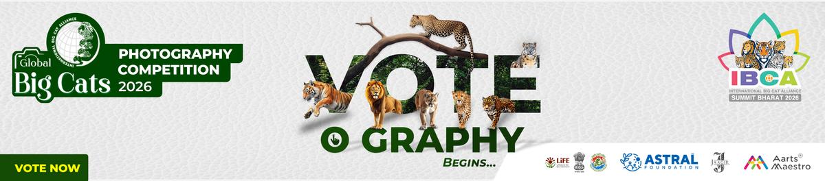 Competition banner — 