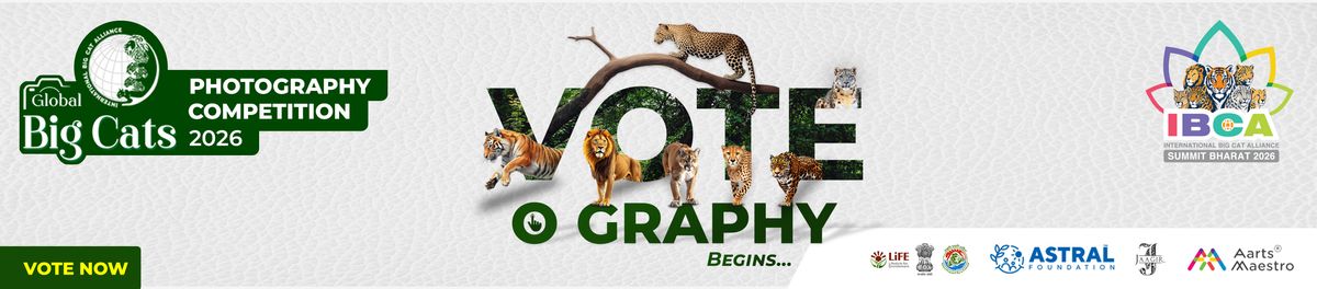 Competition banner — 