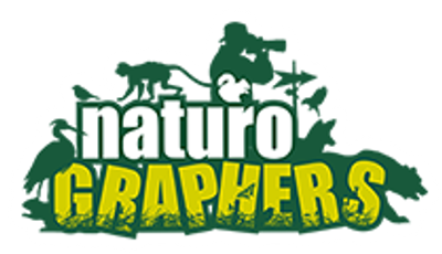 Safari Prize Sponsor