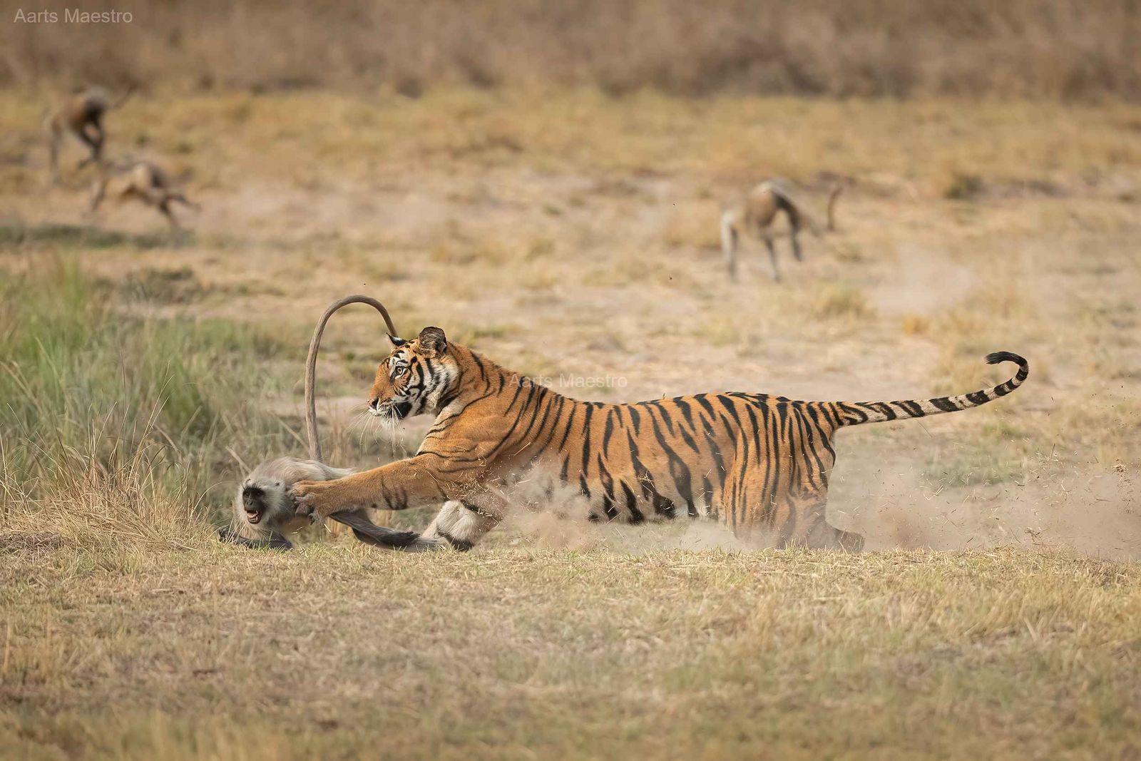 I will show you Fear in a handfull of Dust