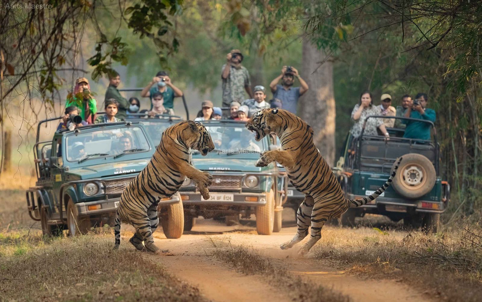 Clash of the Titans - Image 1