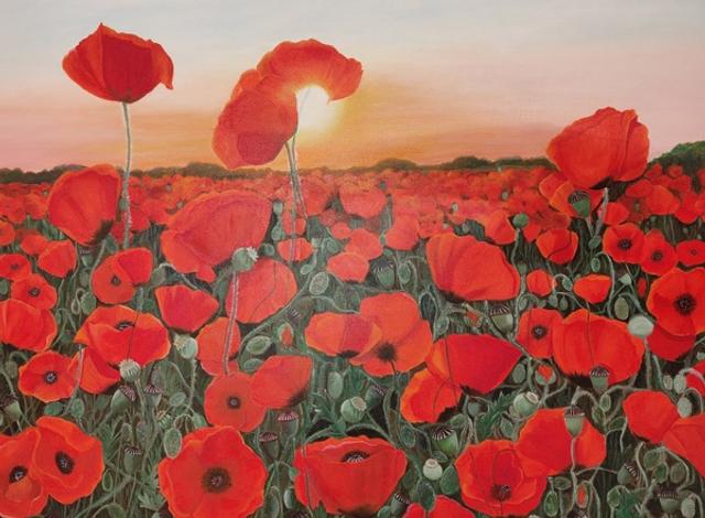Poppies at sunrise