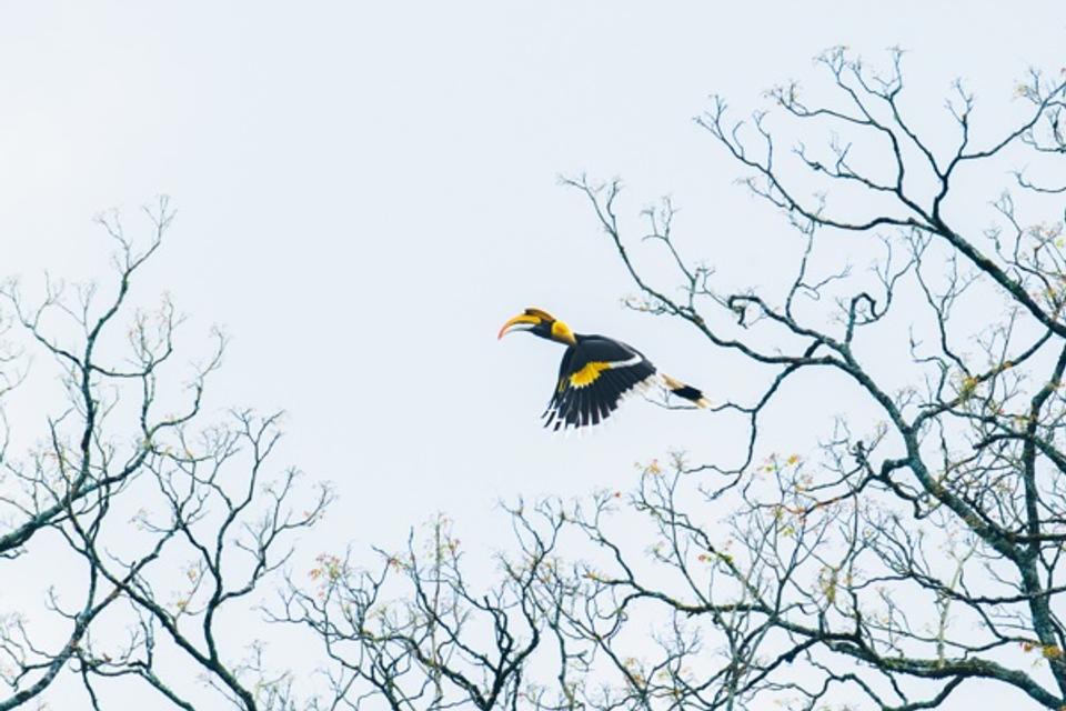 Fly High