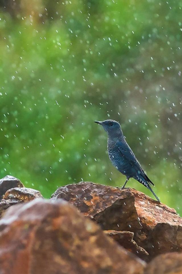 Grace in the Drizzle