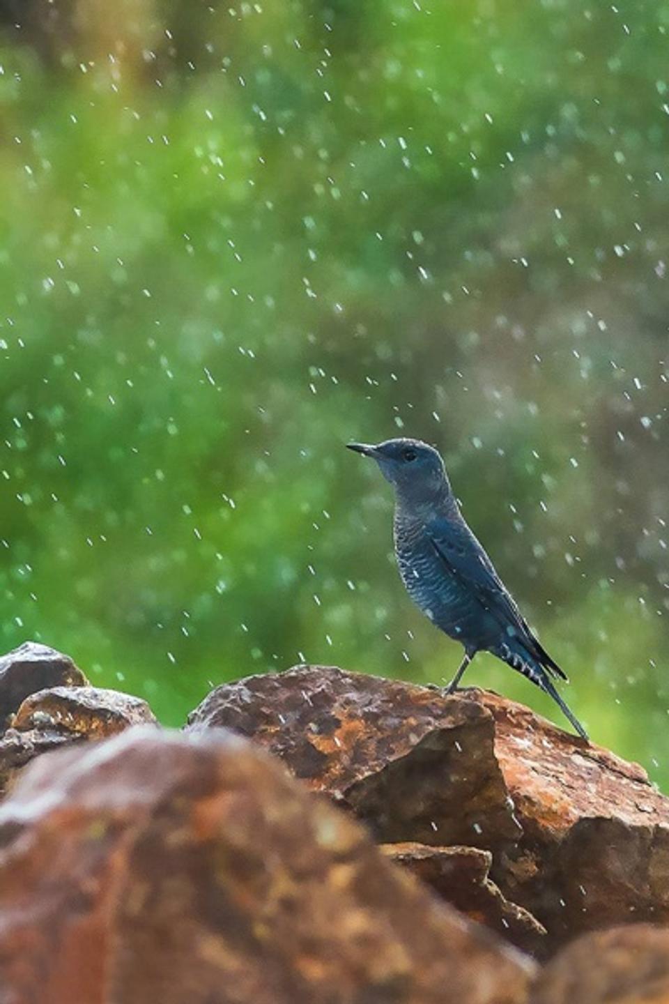 Grace in the Drizzle
