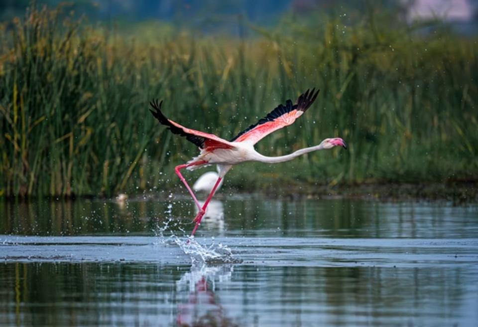 Take off