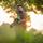 Sunny Saha Pramanick