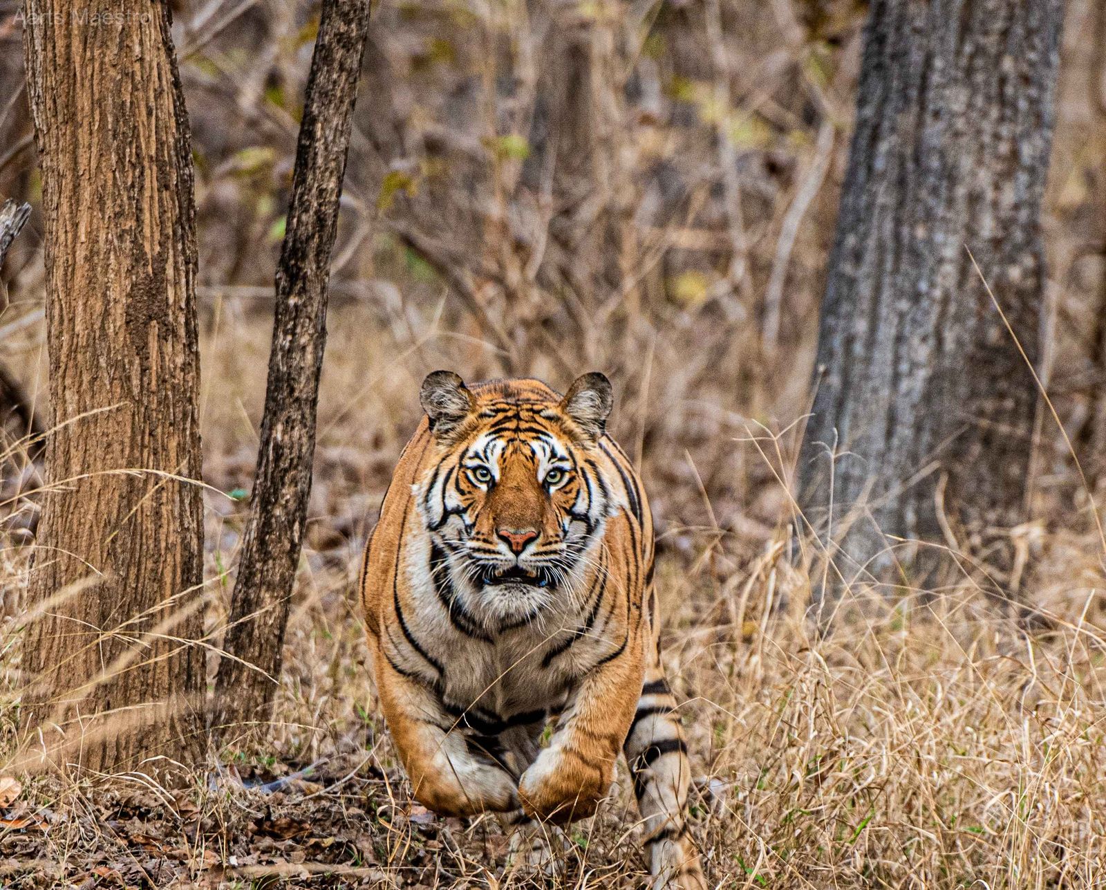 Collision Course - Image 1