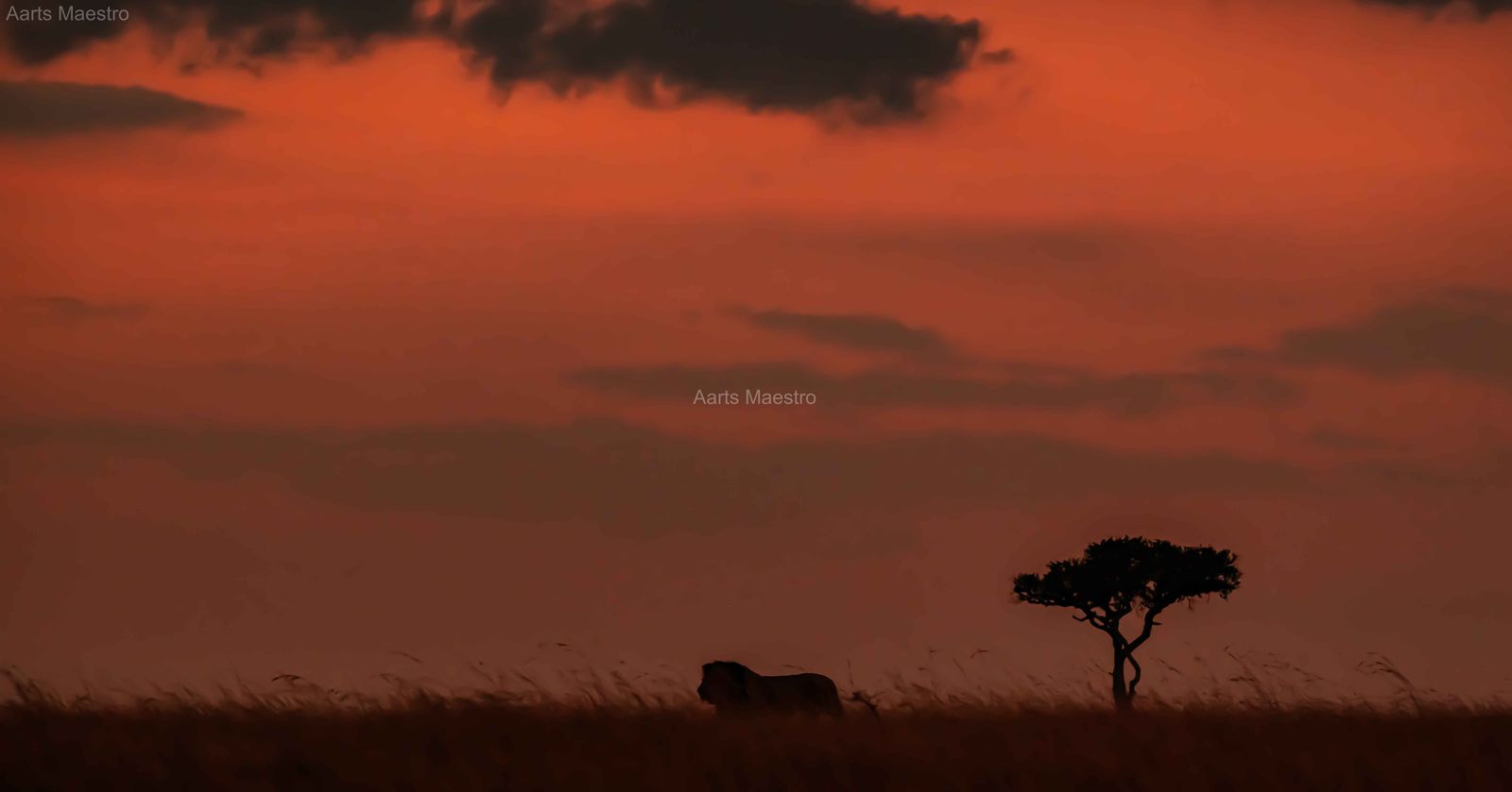 Evening At Savannah - Image 1