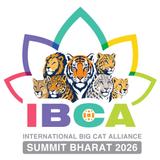 IBCA Summit
